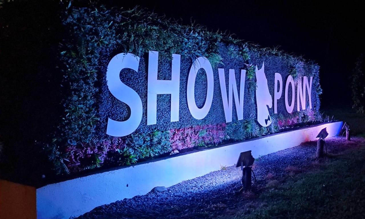 Show Pony Beach Resort And Suites Las Lajas (Chiriqui) Exterior foto