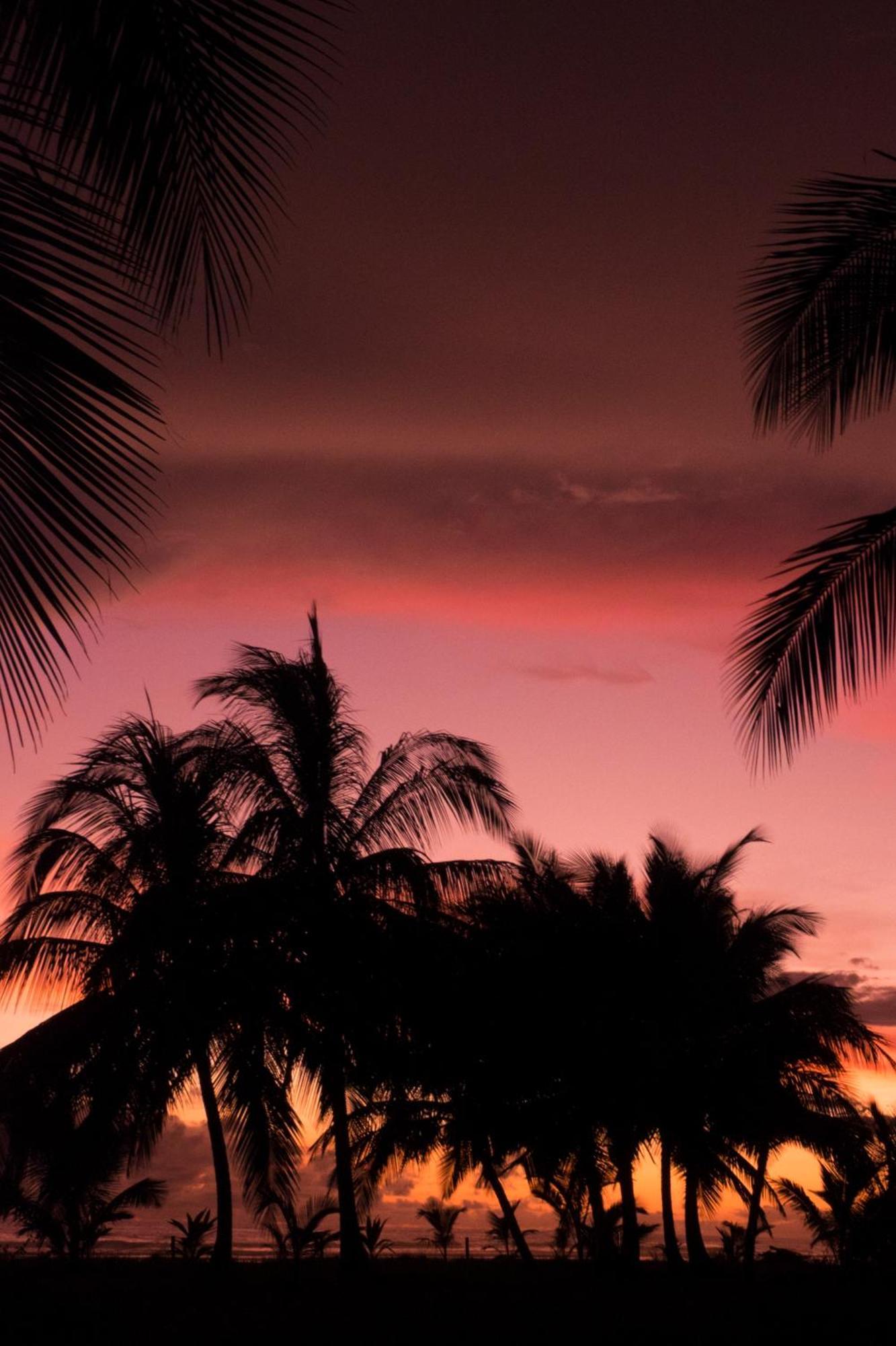 Show Pony Beach Resort And Suites Las Lajas (Chiriqui) Exterior foto