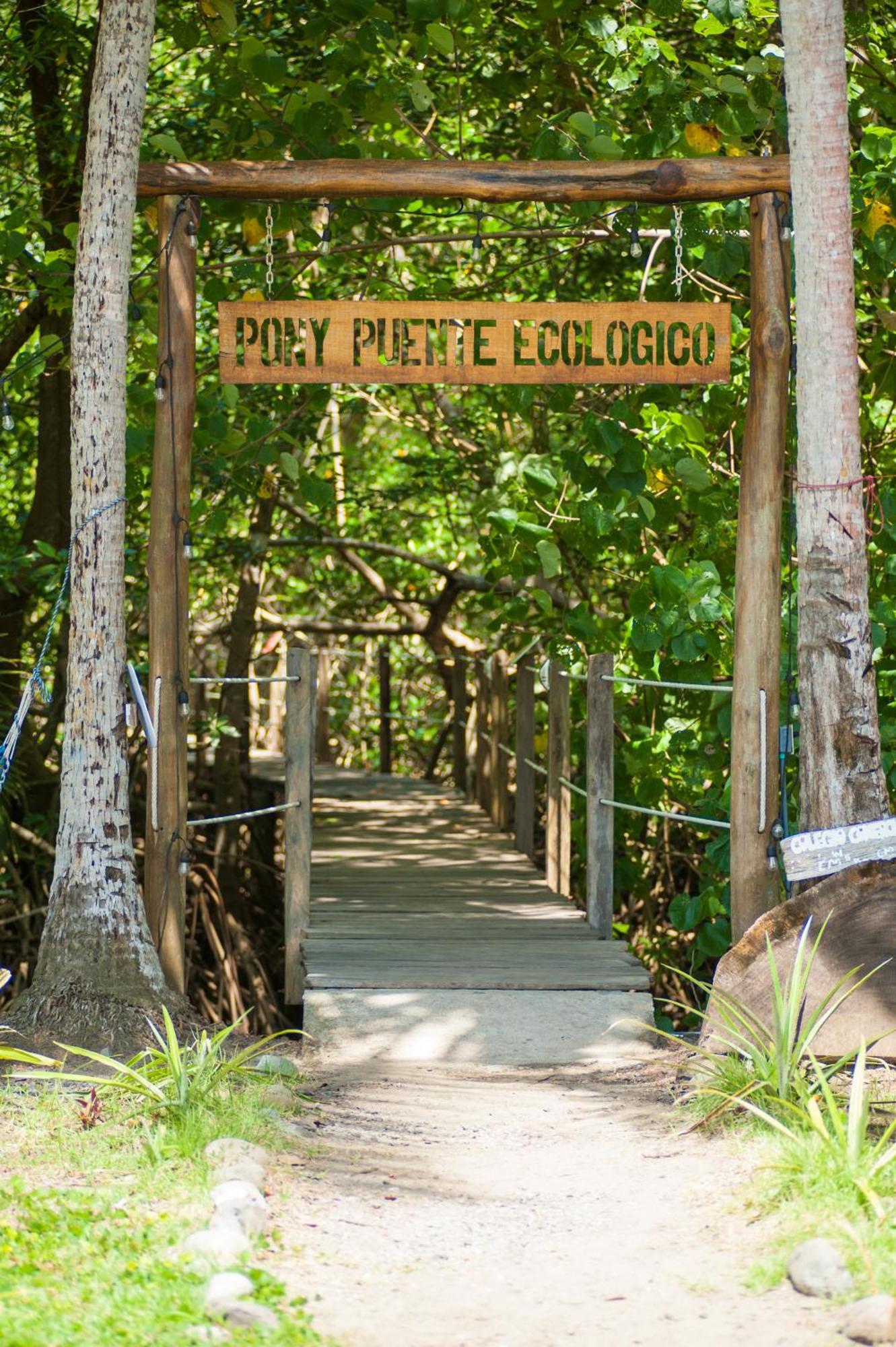 Show Pony Beach Resort And Suites Las Lajas (Chiriqui) Exterior foto