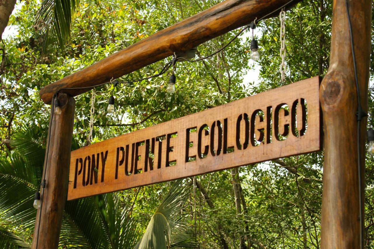 Show Pony Beach Resort And Suites Las Lajas (Chiriqui) Exterior foto